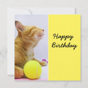 El gato juega la carta de cumpleaños de la pelota