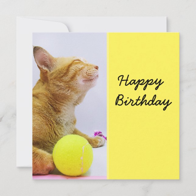 El gato juega la carta de cumpleaños de la pelota  (Anverso)