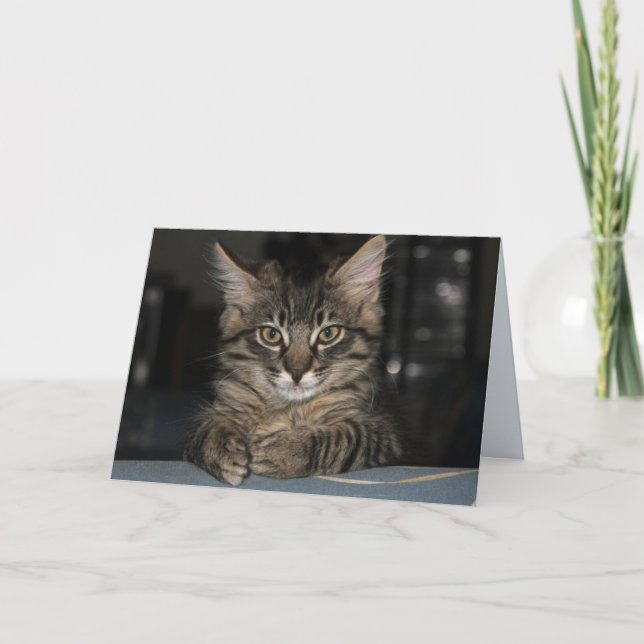 El gato Kimber no te quema la tarjeta de cumpleaño (Anverso)