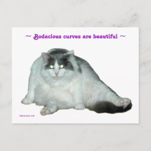 El gato, las curvas bodaciosas son bellas postales