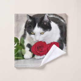 El gato lindo con la rosa roja