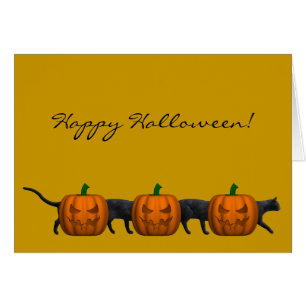 El gato más largo del mundo