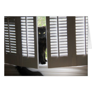 El gato negro en la ventana Shutters, las notas en