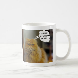 El gato persa necesita la taza de café