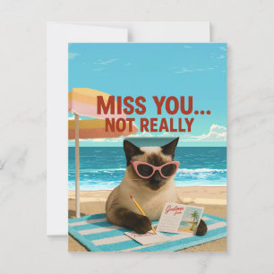 El gato que te falta está en la postal de la playa
