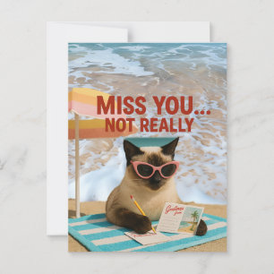 El gato que te falta está en la postal de la playa
