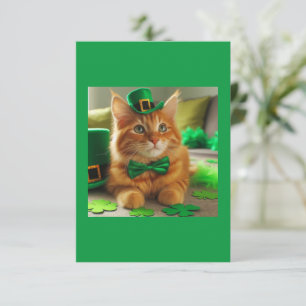 El gato Tabby, Naranja del Día de Santa Patty