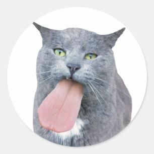 ¿El Gato Tiene Tu Lengua? Pegatina redondo clásico