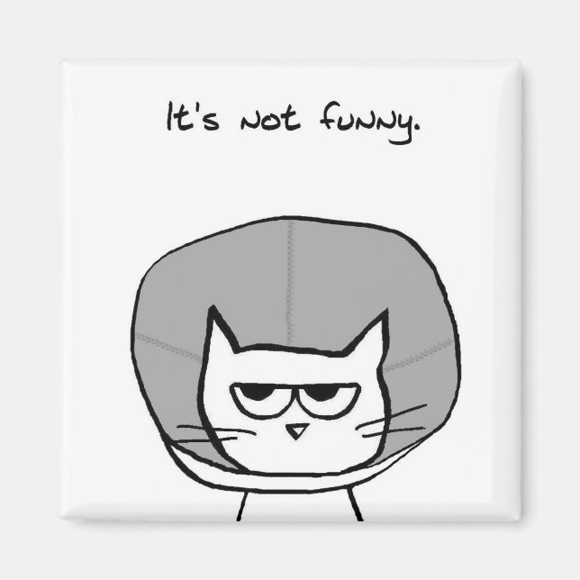 El gato y el cono de la vergüenza - Gracioso imán  (Frente)