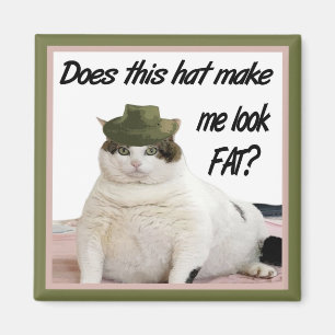 El gato y el imán del gorra