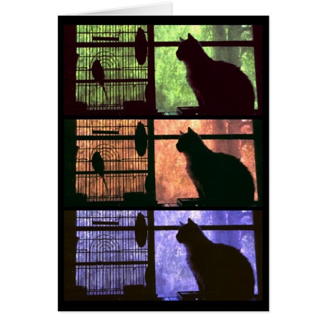 El gato y el pájaro - Tarjeta (Frente)