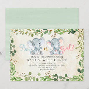 El género del elefante revela la invitación a la g