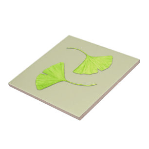 El Ginkgo sale la teja el del arte de la