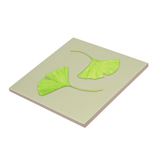 El Ginkgo sale la teja el | del arte de la (Lado)