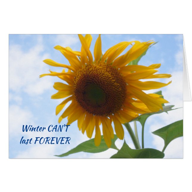 El girasol final del invierno (Anverso (Horizontal))