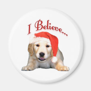 El golden retriever I cree - el imán