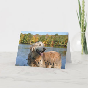 El golden retriever le agradece en la tarjeta del