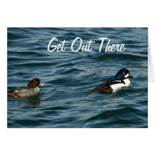 El Goldeneye ducks hacia fuera allí