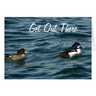 El Goldeneye ducks hacia fuera allí