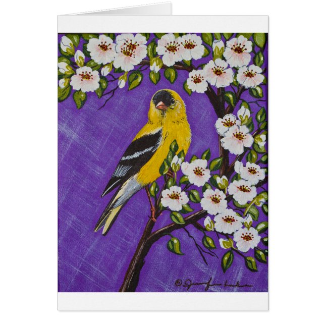 El Goldfinch americano (Frente)