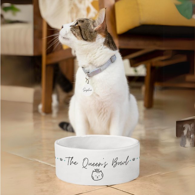 El gracioso plato de agua para gato del Bowl de la (Subido por el creador)