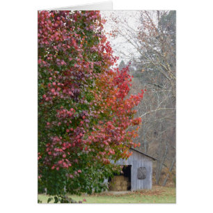 El granero de Liz en otoño