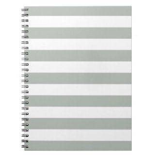 El gris plateado raya la libreta del modelo