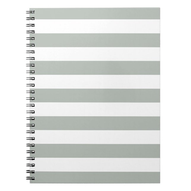 El gris plateado raya la libreta del modelo (Frente)