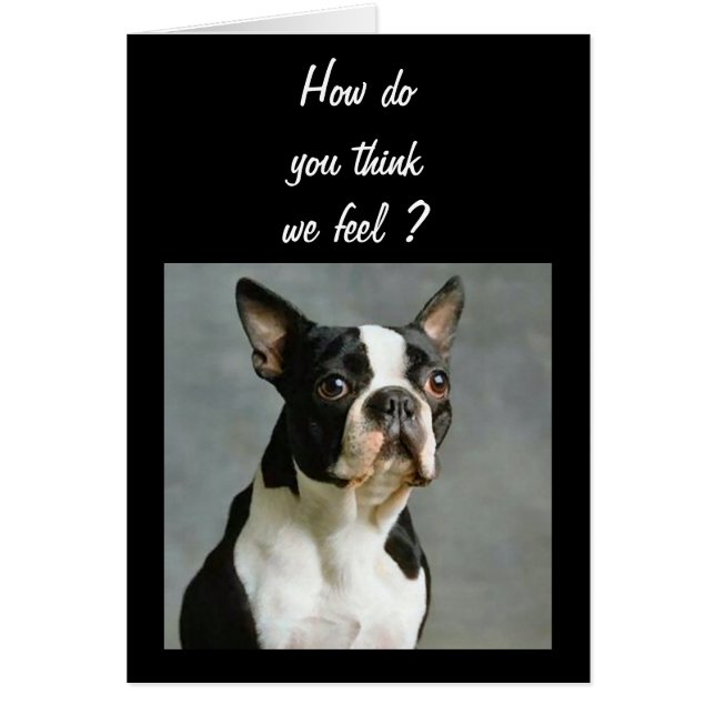 EL GRUPO ESTÁ CUMPLIENDO 40 PRONTO TAMBIÉN (Frente)