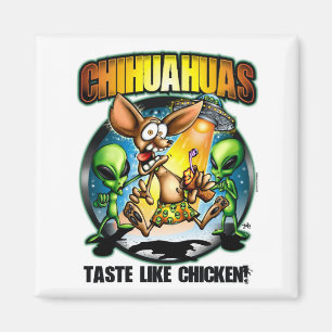 El gusto de las chihuahuas tiene gusto del imán