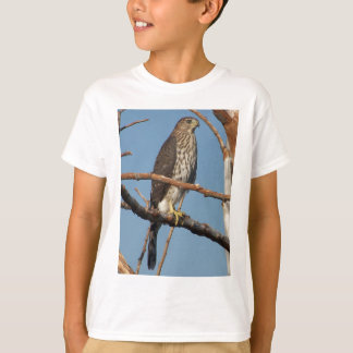 El halcón del tonelero embroma la camiseta