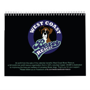 El hermoso calendario Boxers 2021