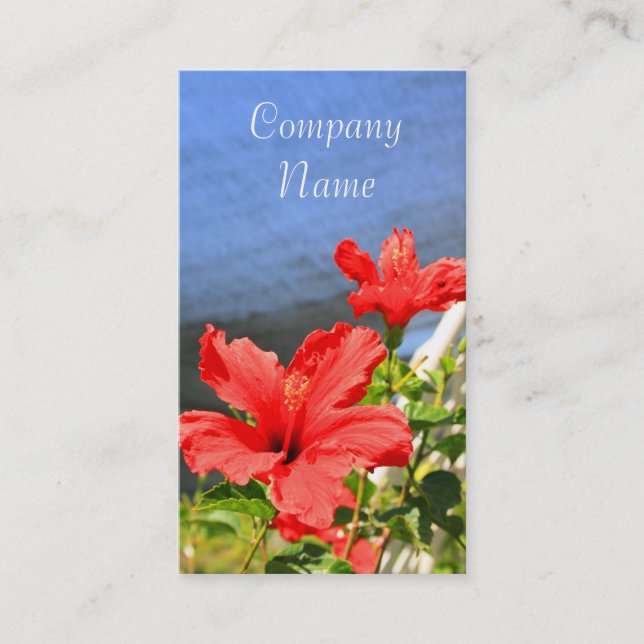 El hibisco rojo florece tarjetas de visita (Anverso)