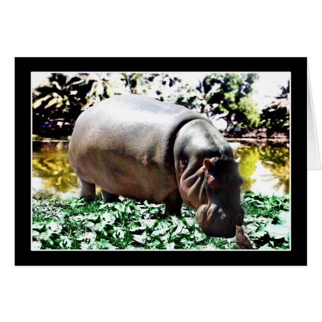 El Hippo Y El Pájaro (Anverso (Horizontal))