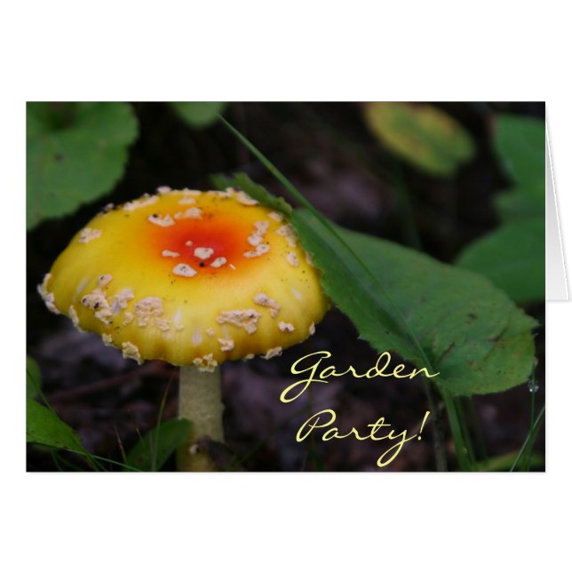 El hongo amarillo asombroso (Anverso (Horizontal))