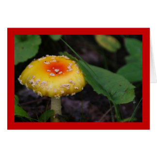 El hongo amarillo asombroso