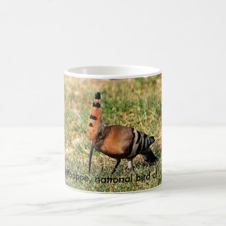El Hoopoe, pájaro nacional de Israel, taza de café