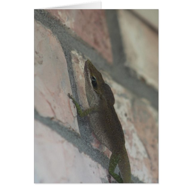 El horizonte oscuro (Frente)