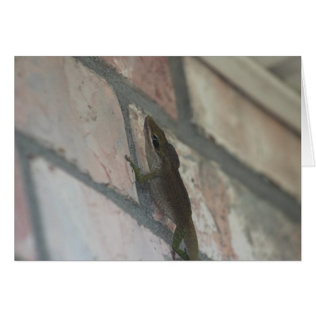 El horizonte oscuro (Anverso (Horizontal))