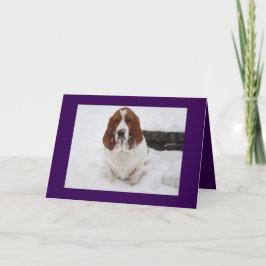 El Hound de Basset le falta la tarjeta de saludo.