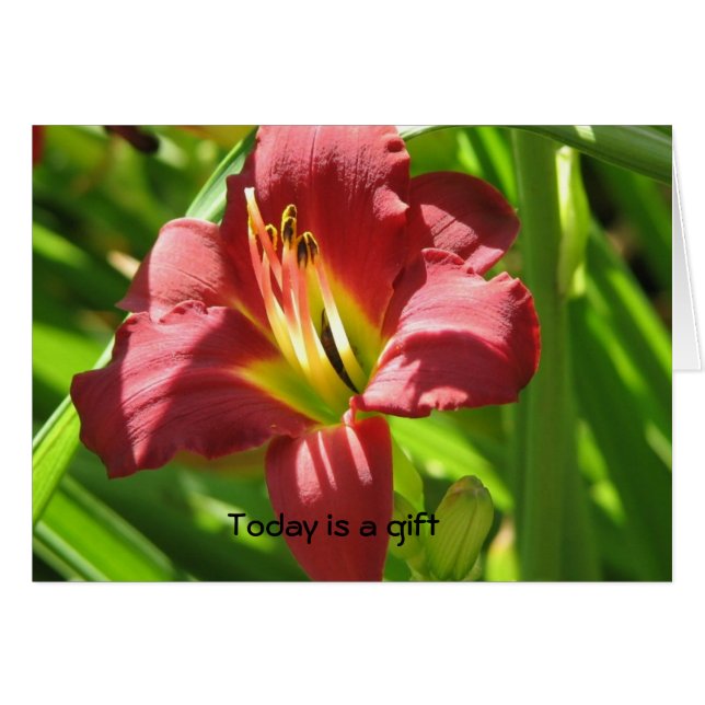 El hoy es un regalo (Anverso (Horizontal))