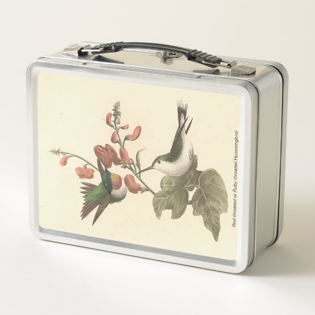 El Hummingbird de garganta roja o gélida (Reverso)