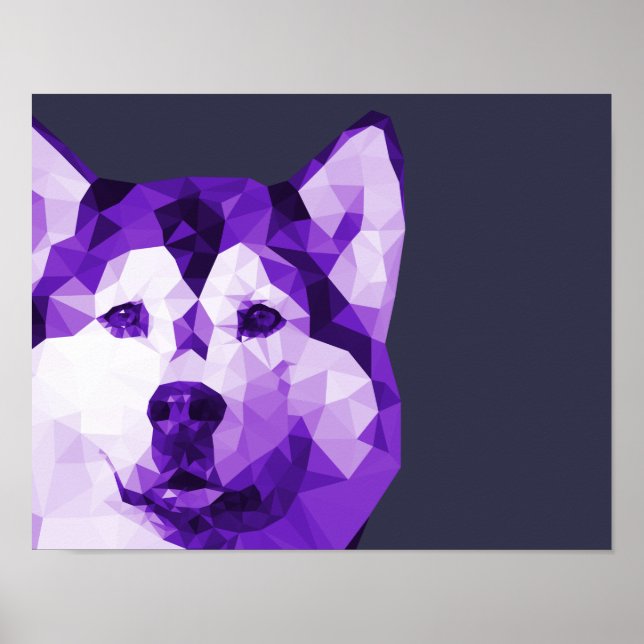 El Husky Siberiano de bajo arte de póliza en morad (Frente)