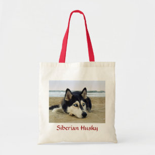 El Husky Siberiano en la bolsa de la playa