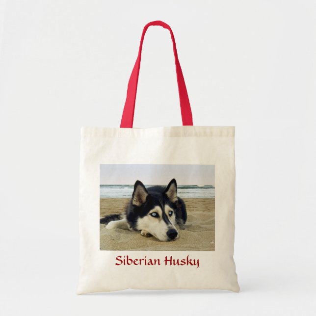 El Husky Siberiano en la bolsa de la playa (Frente)