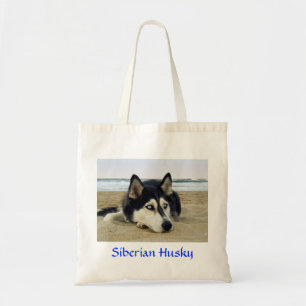 El Husky Siberiano en la bolsa de la playa
