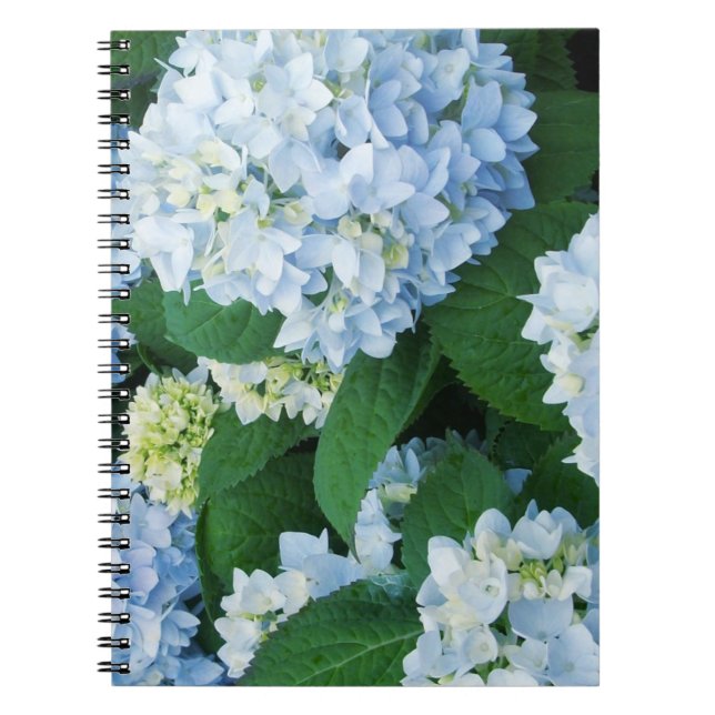 El Hydrangea florece el cuaderno (Frente)