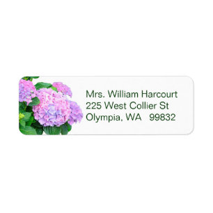 El Hydrangea rosado florece la etiqueta de