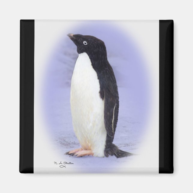 El imán Ade'lie Penquin (Frente)