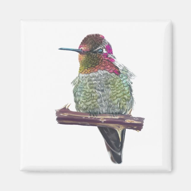El imán colibrí de Anna (Frente)